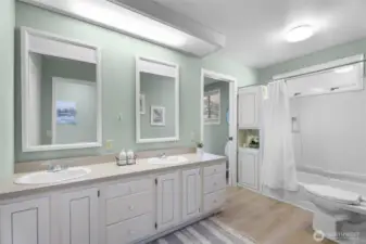 Main Level Bathrom - double entry from Entryway Hall and Bedroom