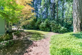 Another view of the lush plantings and shrubbery in the back yard.