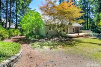 View of the home and backyard area from the patio.