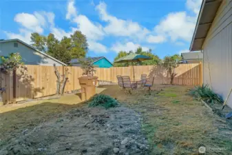 Back Yard 1