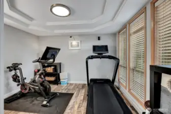 Dining room currently used as workout area
