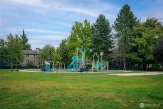 Blueberry Park just around the corner