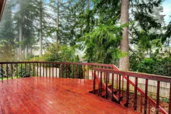 Deck Off Dining Room