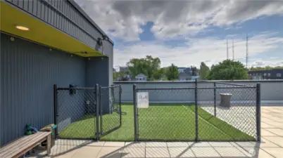 Roof Top Deck w/ dog run