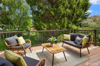 Timbertek deck
