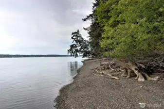 View to the south from shared trail access.