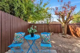 Back Patio