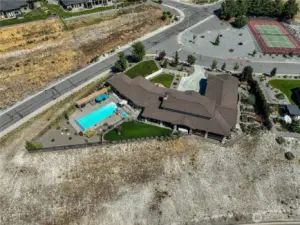 Birds eye