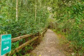 Neighborhood walking trail that will bring you peace and tranquility after a long day.