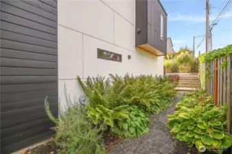 Path from guest entry way (front door) to backyard