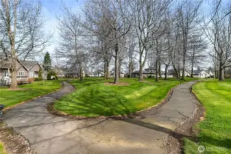 Lovely walking trails