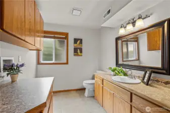 Lower level bathroom & laundry room