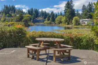 community picknic area near the lake