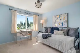 Top level 2nd bedroom