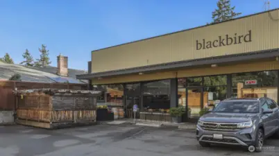 Blackbird restaurant across the street