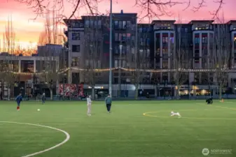 Nearby Cal Anderson Park