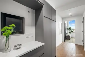 Convenient Built in Butler Cabinet and Shoe Storage at Home Entry