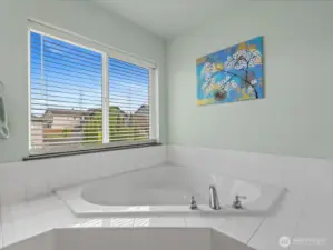 Large soaking tub next to extended shower.