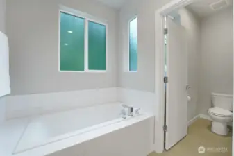Primary Bathroom Tub