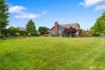 Spacious and flat side yard