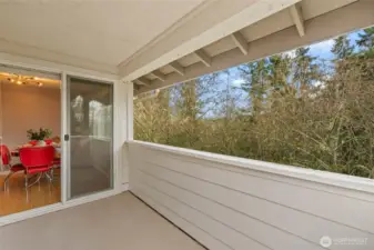 A nice-sized patio, perfect for relaxing and bird watching.