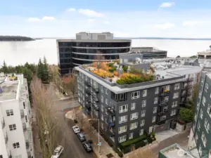 Welcome To Trio View Condominium Seattle
