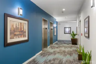 Dual elevators for fast use