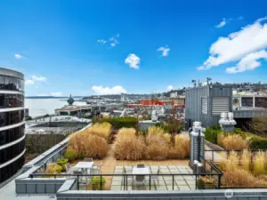 Amazing Space Needle, City, Sound and Mountain views from the roof top entertainment area.