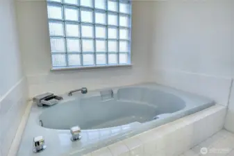 Primary Bathroom Tub