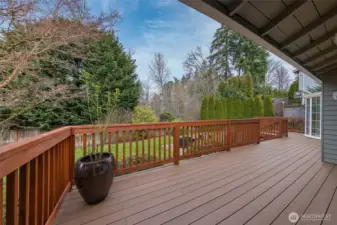 Spacious composite deck:  low maintenance.