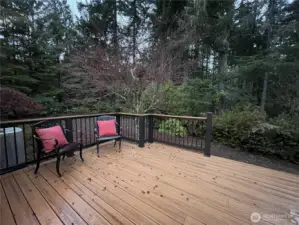 Beautiful composite deck and easy care railing faces the private back yard oasis.