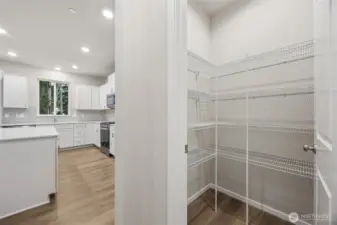 Walk in pantry for all your kitchen storage needs. Picture for representational purposes only, colors and features may vary.