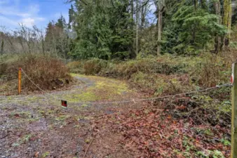 Second driveway providing access to additional usable land, opening the door to future potential.