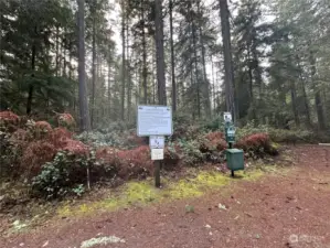 Jane Cammon Park Trail system.