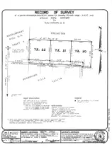 Survey of all three lots for sale.