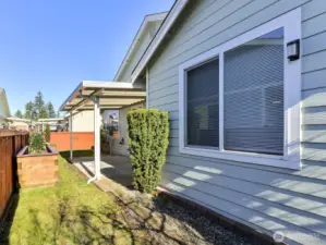 Back yard is easy maintenance. Cement paved garden beds