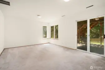 Lower level bonus room with sliders to patio and yard