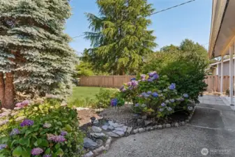 Nicely landscaped front yard.