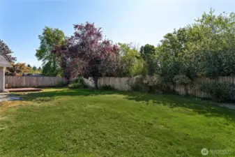 View of backyard.