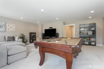 Rec room for lots of fun!