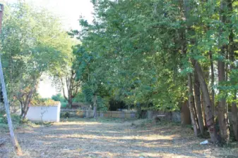 Middle of lot