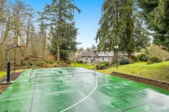 Private backyard with 50' x 30' athletic court set up for pickleball, basketball, and more!
