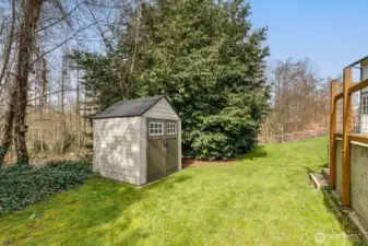 Shed in the back yard