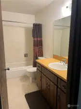 Bathroom w/shower curtain open.