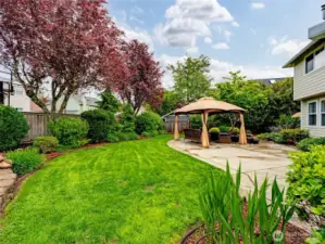 Spectacular private backyard.  Your dream space!