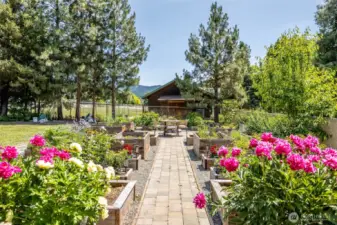 Garden with Raised Beds & Drip System