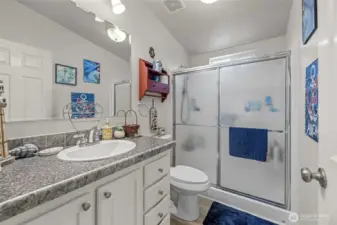 Bathroom with vaulted ceilings