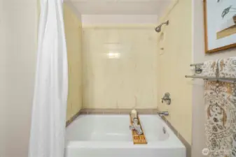 Tub/ shower combo in the main bathroom.