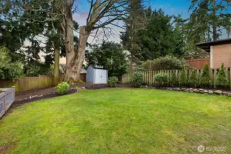 Imagine enjoying this stunning yard all summer long!