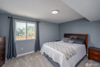 Downstairs Bedroom